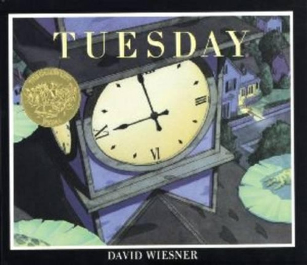 Tuesday by David Wiesner 9780395870822