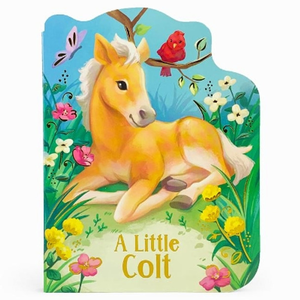A Little Colt by Rosalee Wren 9781680527773