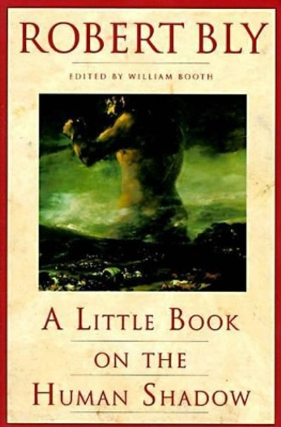 A Little Book on the Human Shadow by Robert Bly 9780062548474