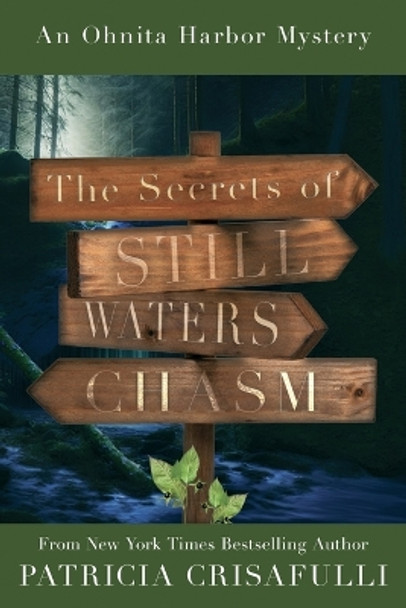 The Secrets of Still Waters Chasm: Book 2 - Ohnita Harbor Mystery Series by Patricia Crisafulli 9781954907645