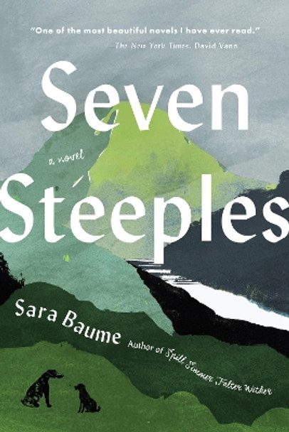 Seven Steeples by Sara Baume 9780063268685