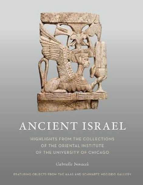 Ancient Israel by Gabriella V. Novacek