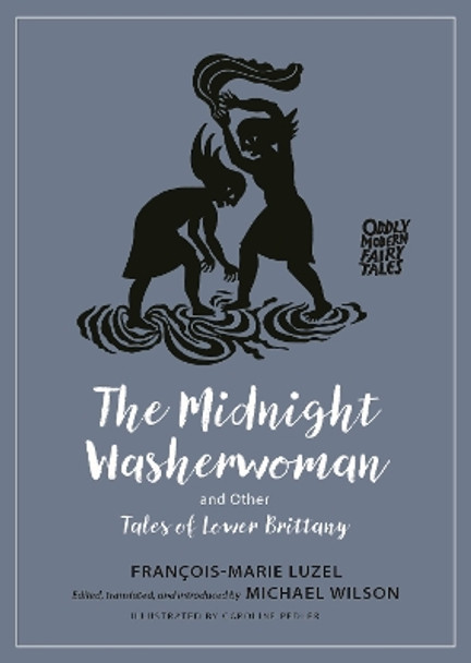 The Midnight Washerwoman and Other Tales of Lower Brittany by Francois-Marie Luzel 9780691252698