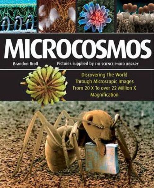 Microcosmos by Brandon Broll