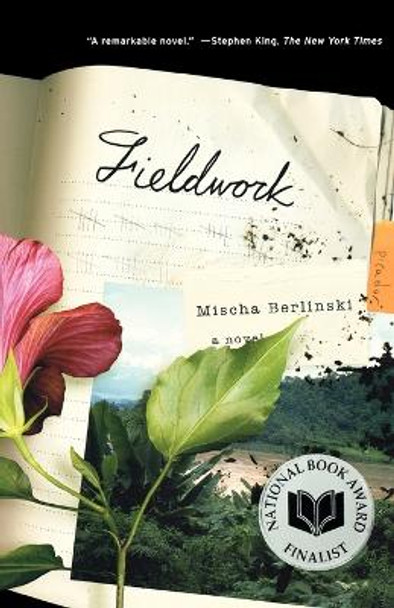 Fieldwork by Mischa Berlinski