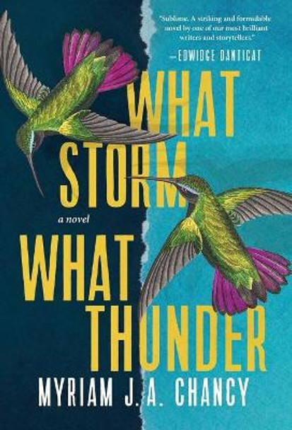 What Storm, What Thunder by Myriam J a Chancy