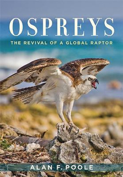 Ospreys: The Revival of a Global Raptor by Alan F. Poole