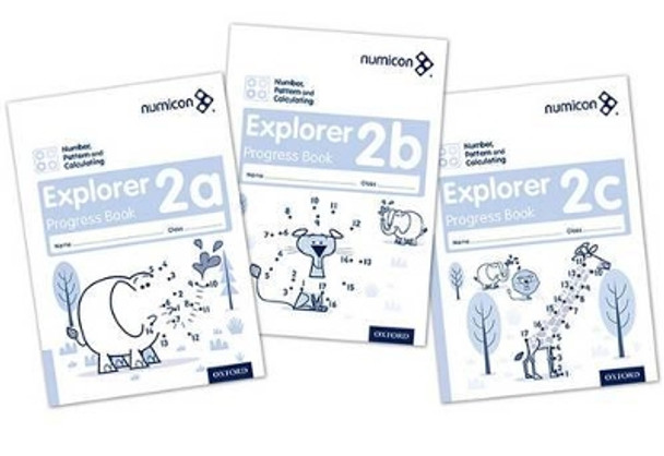 Numicon: Number, Pattern and Calculating 2 Explorer Progress Books ABC (Mixed pack) by Ruth Atkinson