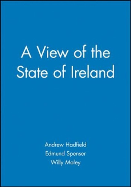 A View of the State of Ireland by Andrew Hadfield