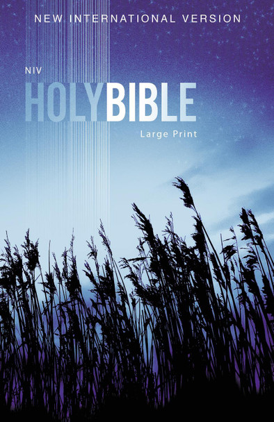 NIV, Outreach Bible, Large Print, Paperback by Zondervan