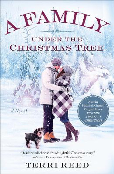 A Family Under the Christmas Tree: A Novel by Terri Reed