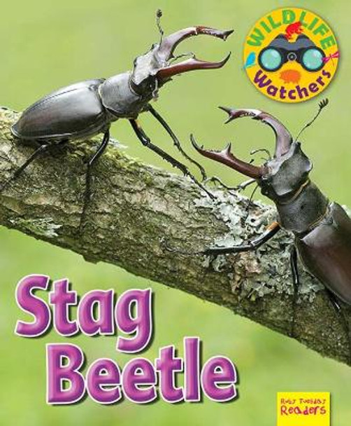 Wildlife Watchers: Stag Beetle: 2017 by Ruth Owen