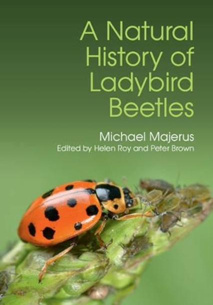 A Natural History of Ladybird Beetles by Michael Majerus