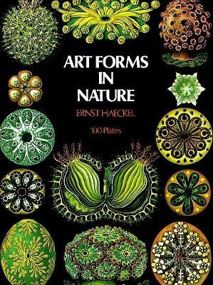 Art Forms in Nature by Ernst Haeckel 9780486229874