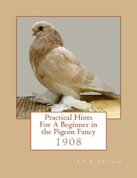 Practical Hints For A Beginner in the Pigeon Fancy by Roger Chapman 9781974590223