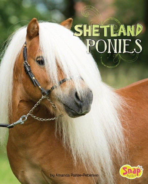 Shetland Ponies by Amanda Parise-Peterson 9781543500349