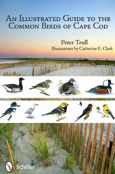 An Illustrated Guide to the Common Birds of Cape Cod by Peter Trull 9780764338779