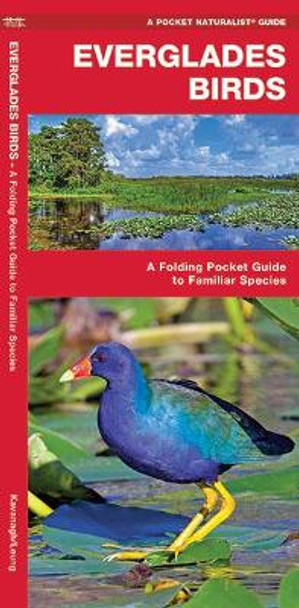 Everglades Birds: A Folding Pocket Guide to Familiar Species by James Kavanagh 9781583553350