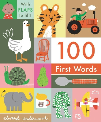 100 First Words by Edward Underwood 9781536208221