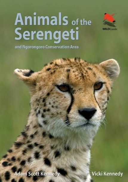 Animals of the Serengeti: And Ngorongoro Conservation Area by Adam Scott Kennedy 9780691159089 Animals of the Serengeti: And Ngorongoro Conservation Area by Adam Scott Kennedy 9780691159089
