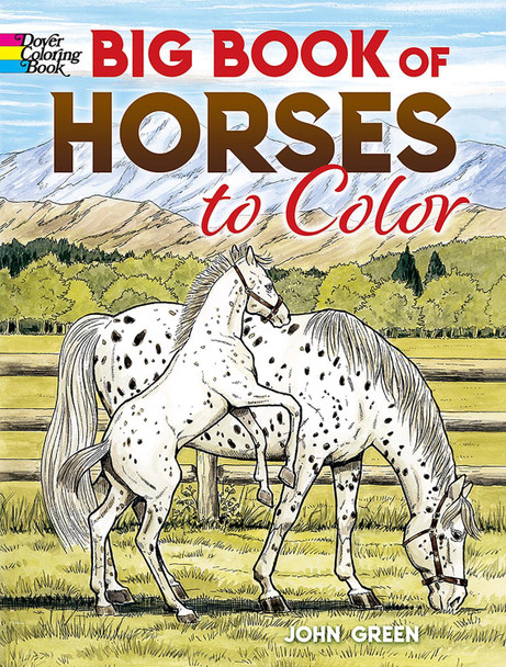 Big Book of Horses to Color by John Green 9780486451787