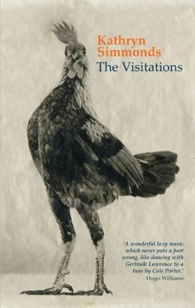 The Visitations by Kathryn Simmonds 9781781721162