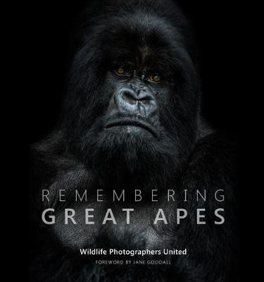 Remembering Great Apes by Margot Raggett