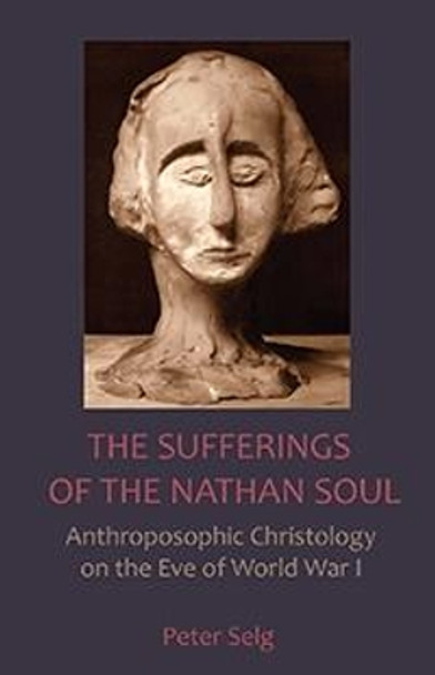 The Sufferings of the Nathan Soul by Peter Selg 9781621481508