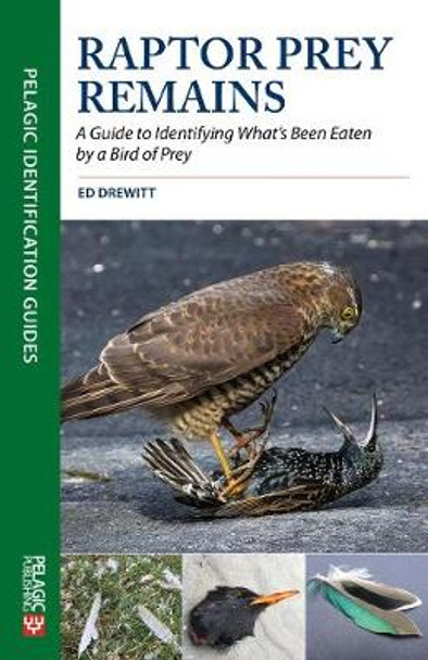 Raptor Prey Remains: A Guide to Identifying What's Been Eaten by a Bird of Prey by Ed Drewitt