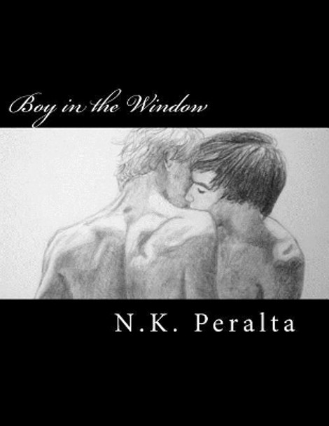 Boy in the Window: A Gay Youth Coming Out Story by N K Peralta 9781519172518