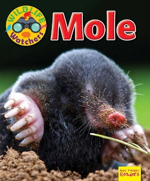 Wildlife Watchers: Mole: 2017 by Ruth Owen 9781911341253