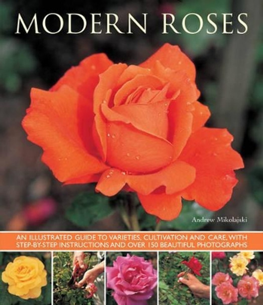 Modern Roses by Andrew Mikolajski 9781780192727