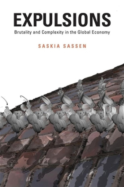 Expulsions: Brutality and Complexity in the Global Economy by Saskia Sassen 9780674599222