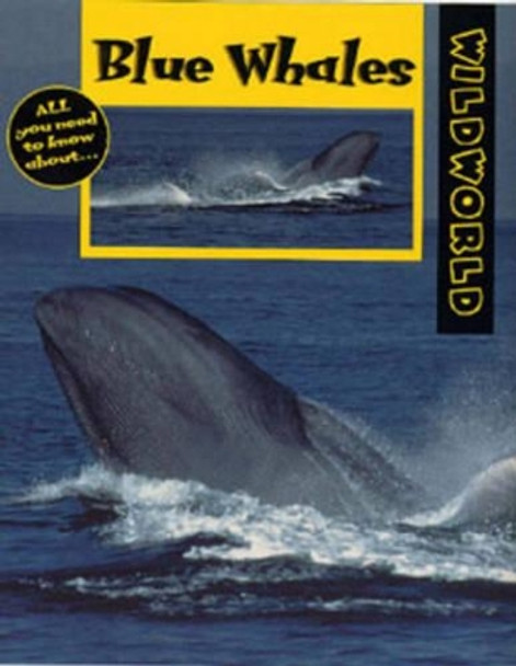 Blue Whales by Patricia Miller-Schroeder 9780713657487