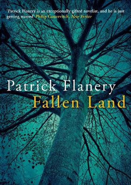 Fallen Land by Patrick Flanery 9780857898791