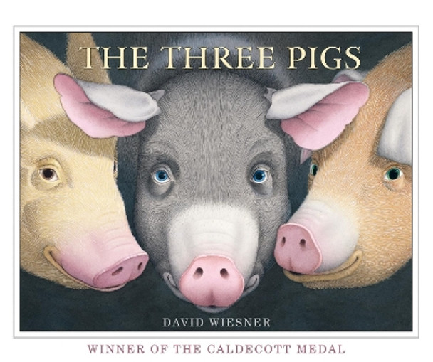 The Three Pigs by David Wiesner 9781849394055