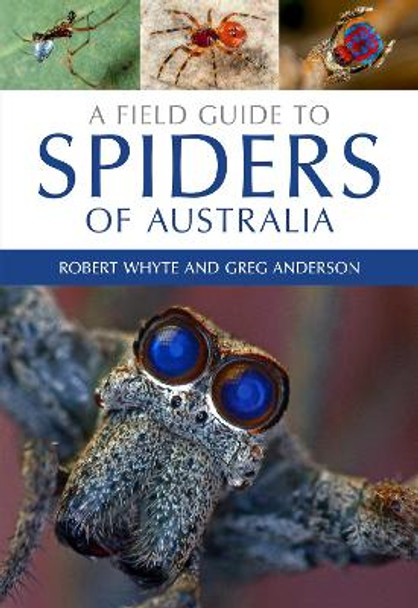 A Field Guide to Spiders of Australia by Robert Whyte 9780643107076