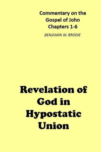 Revelation of God in Hypostatic Union: Commentary on the Gospel of John - Chapters 1-6 by Benjamin W Brodie 9781793117823