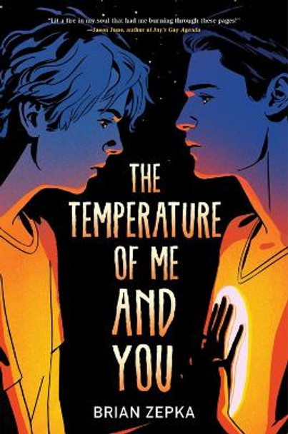 The Temperature Of Me And You by Brian Zepka 9781368074179