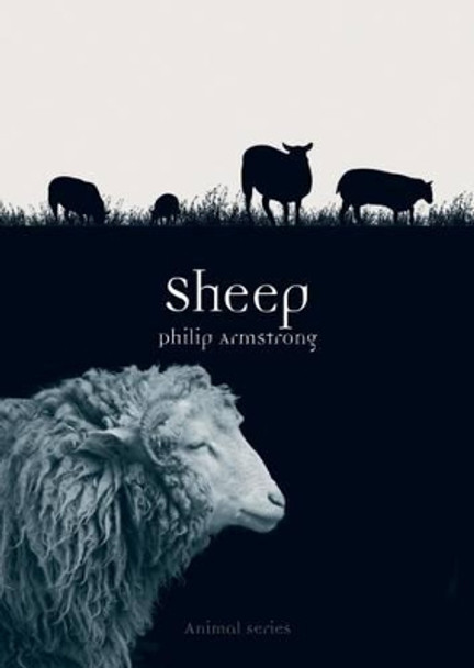 Sheep by Philip Armstrong 9781780235936