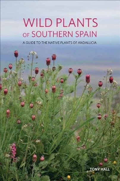 Wild Plants of Southern Spain: A Guide to the Native Plants of Andalucia by Tony Hall 9781842466315