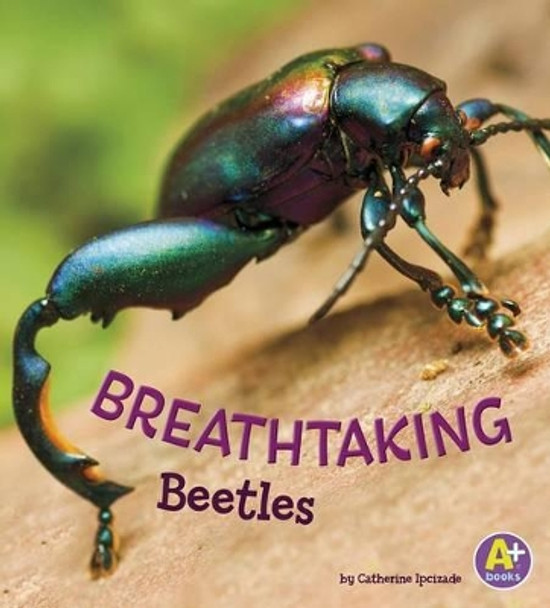 Breathtaking Beetles (Bugs are Beautiful!) by Catherine Ipcizade 9781515745013