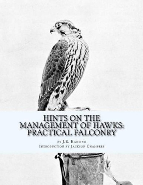 Hints on the Management of Hawks: Practical Falconry by Jackson Chambers 9781541335684