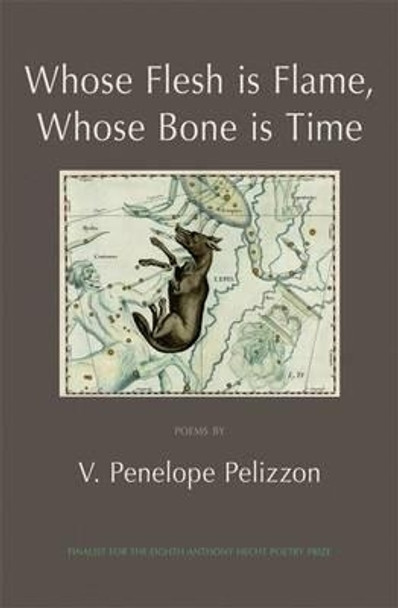 Whose Flesh is Flame, Whose Bone is Time by V. Penelope Pelizzon 9781904130604