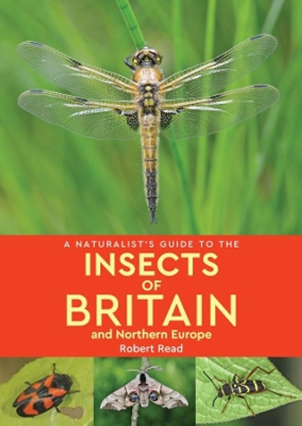 A Naturalist's Guide to the Insects of Britain and Northern Europe (2nd edition) by Robert Read 9781912081172