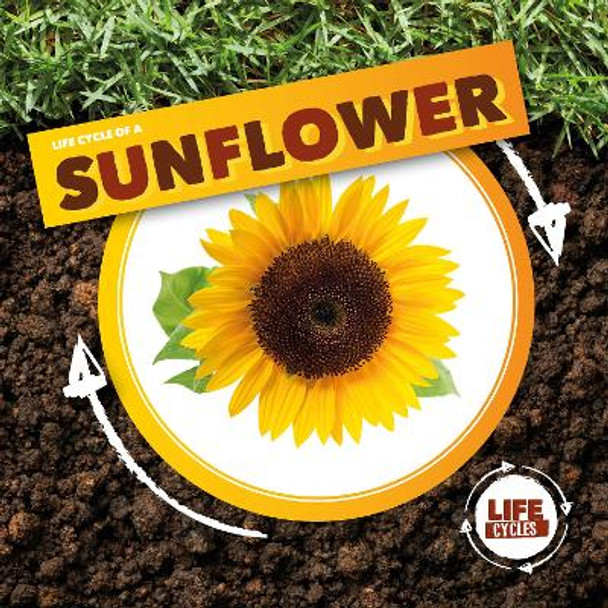 Life Cycle of a Sunflower by Kirsty Holmes