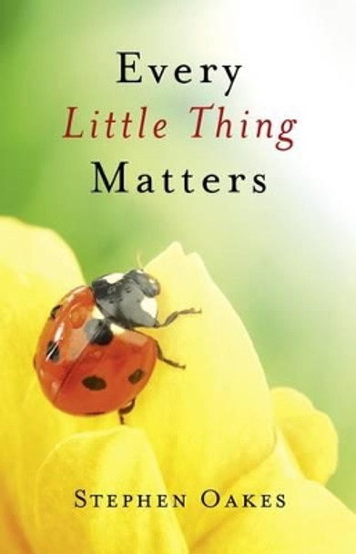 Every Little Thing Matters by Stephen Oakes 9781846944239