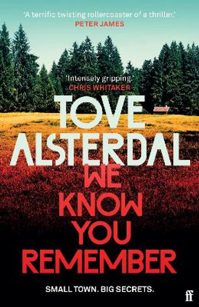 We Know You Remember by Tove Alsterdal 9780571368938