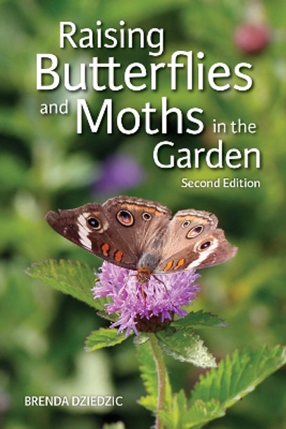 Raising Butterflies and Moths in the Garden by Brenda Dziedzic 9780228104209