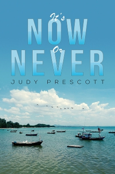 It's Now or Never by Judy Prescott 9781398438910